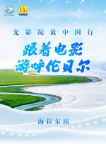 免费特级黄毛片在线成人观看