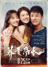 在线 影视 一区